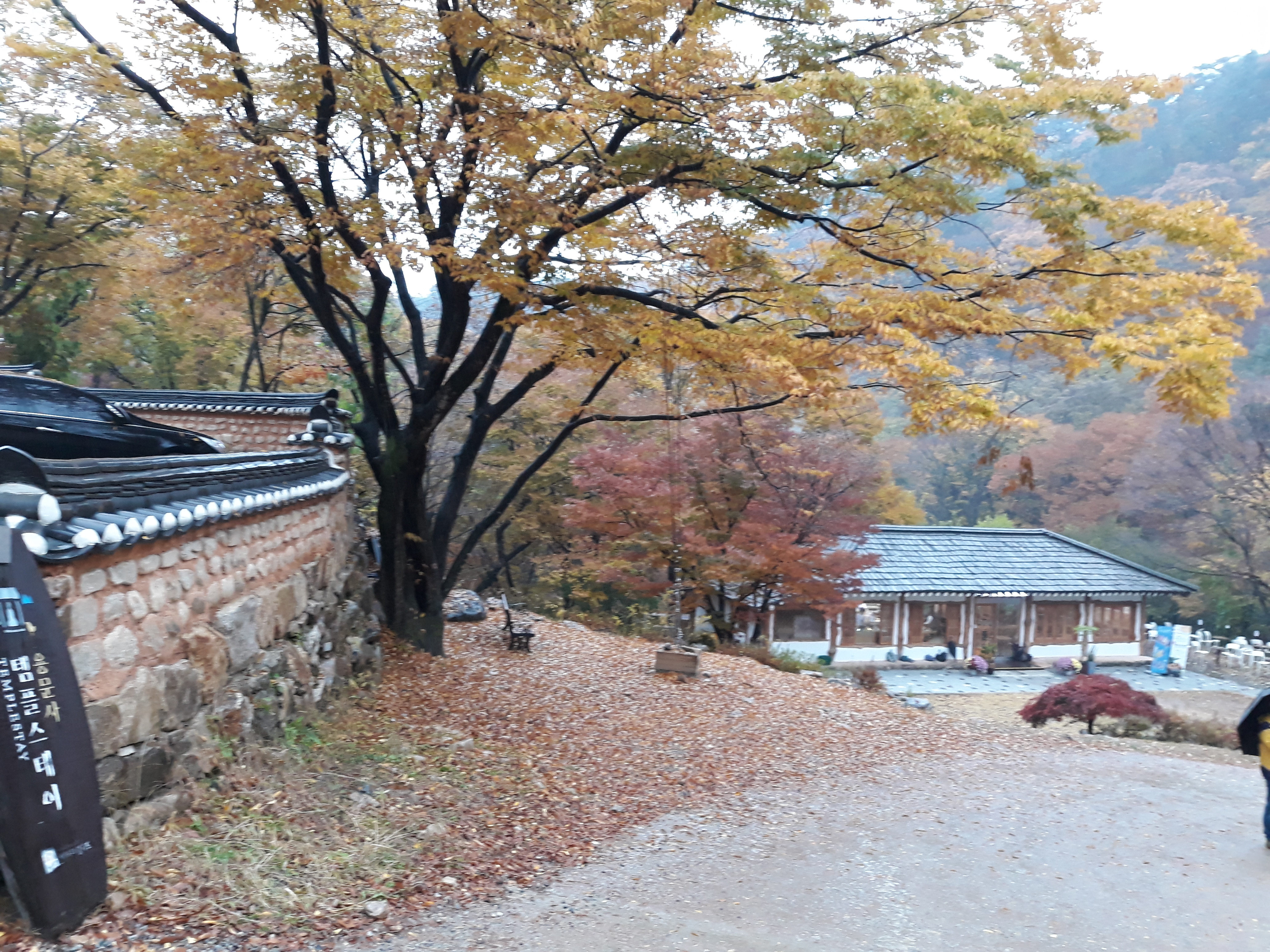 �빮�� ���ý�����