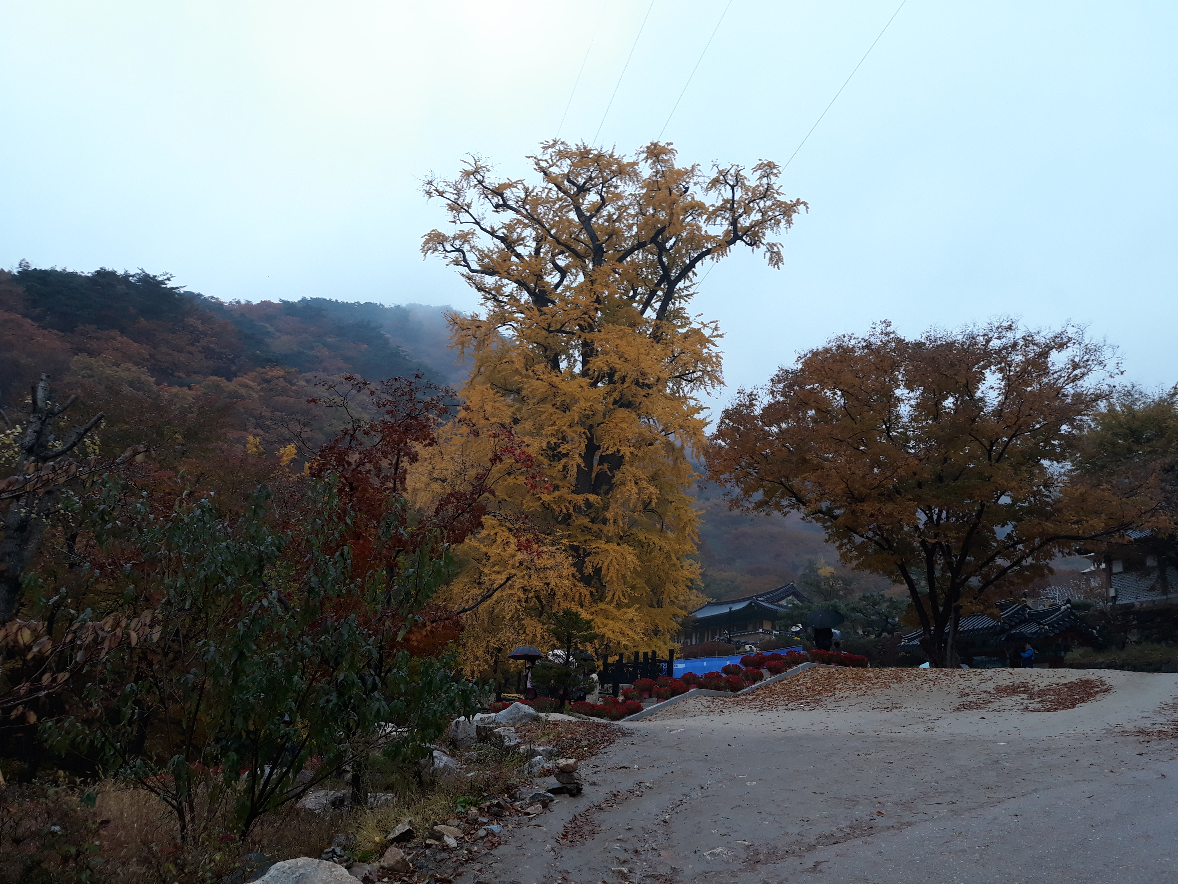 �빮�� ���೪��