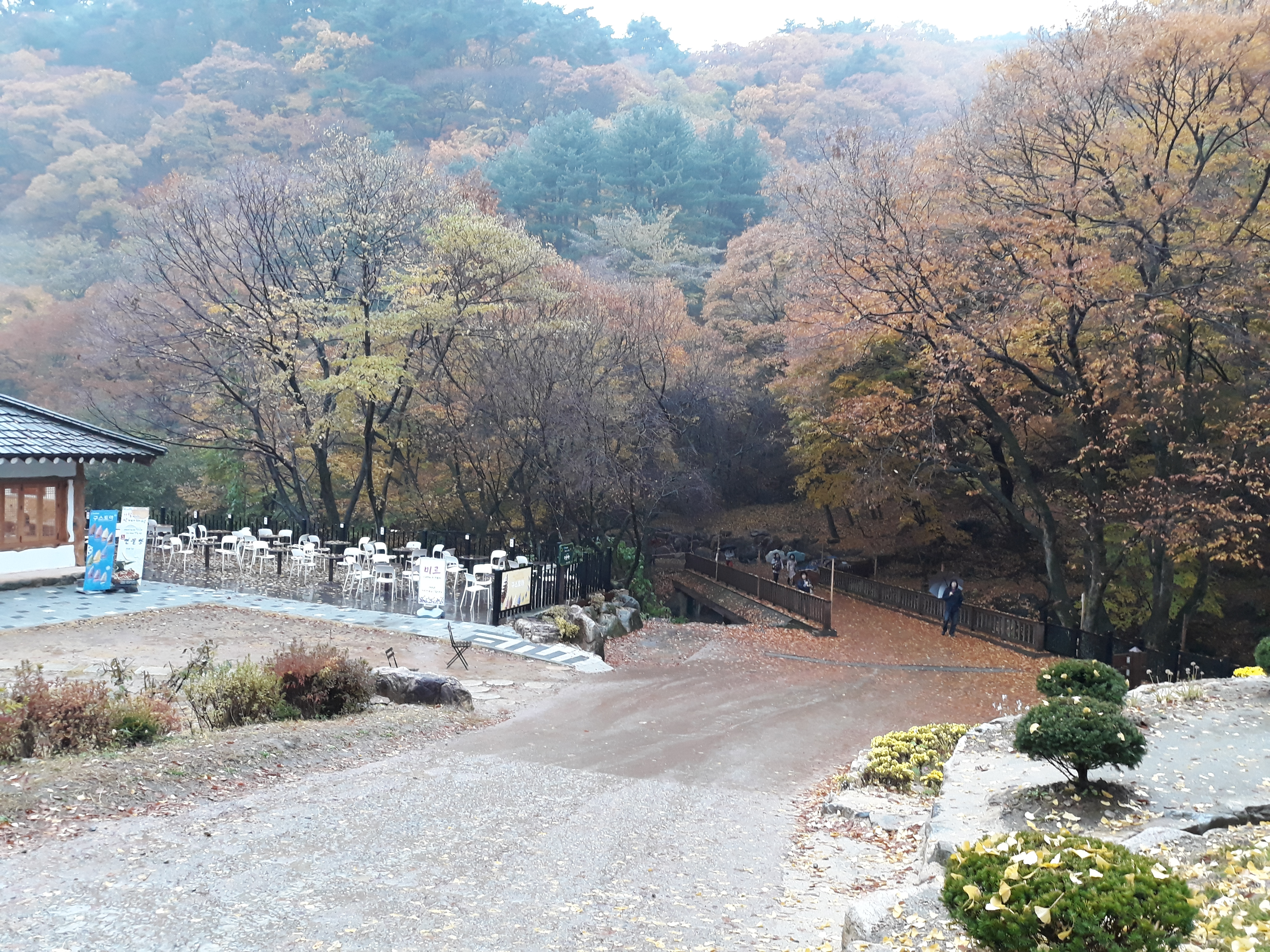 �����Ա�