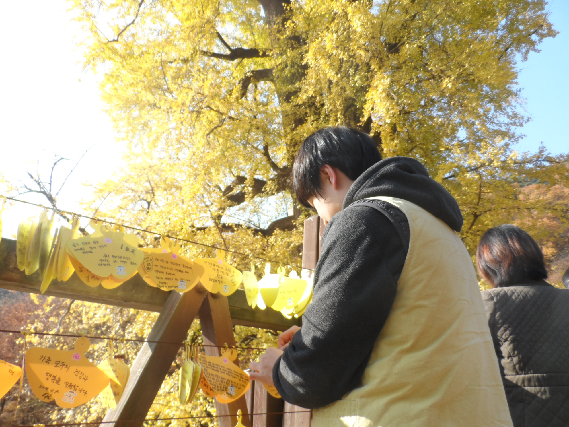 ������ �ҿ��� �ޱ�